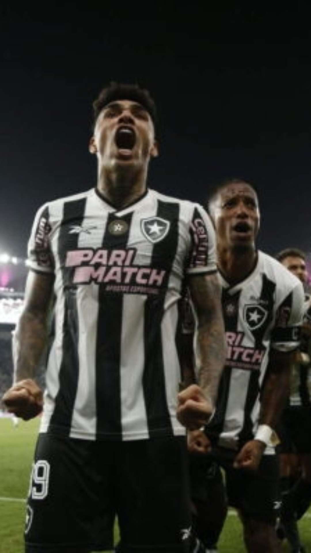 Botafogo garante título simbólico do primeiro turno do Brasileirão