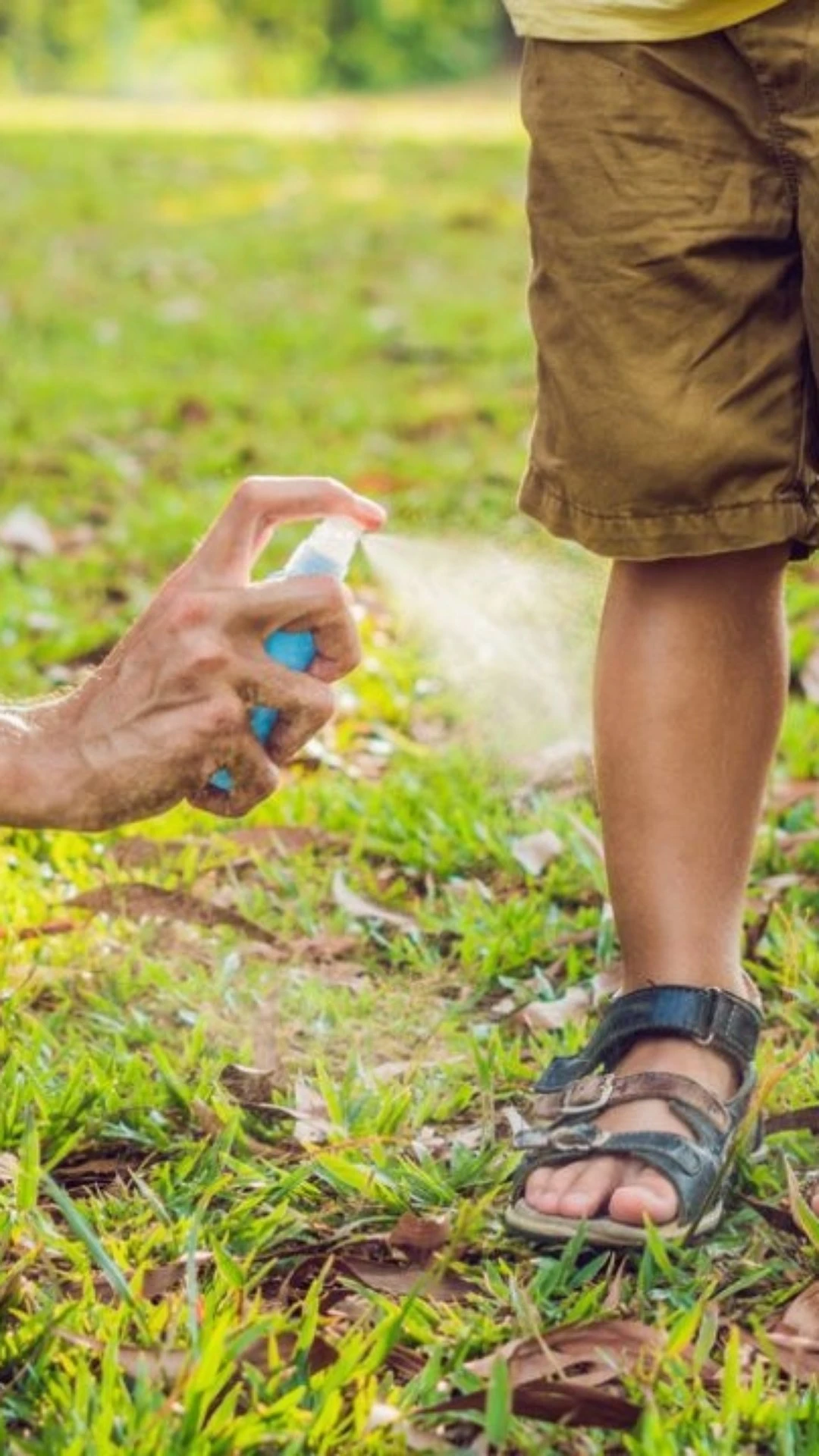 Qual é o melhor repelente contra o mosquito da dengue? 3 opções para proteger sua família