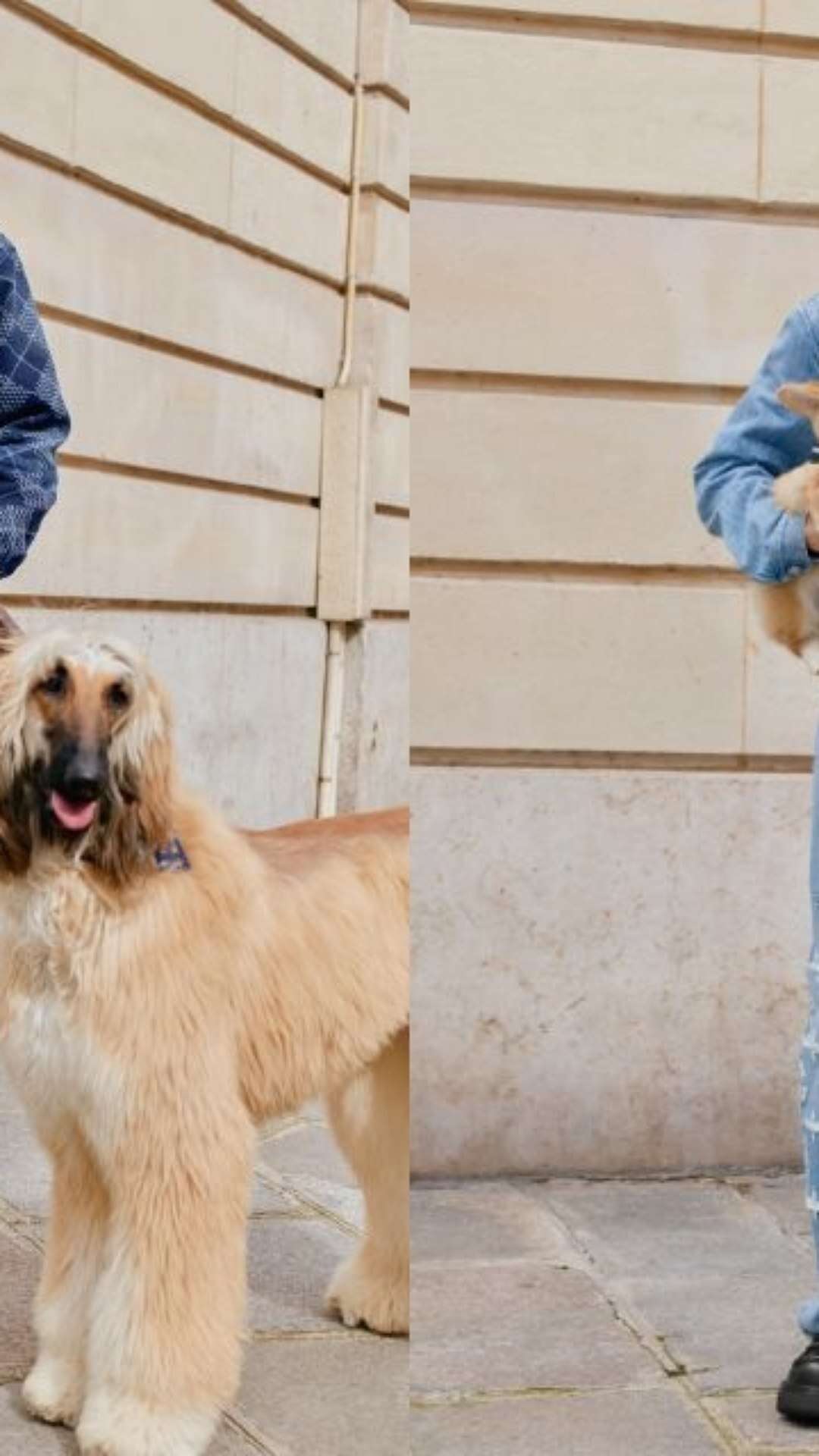 Louis Vuitton lança coleção masculina inspirada na relação com pets