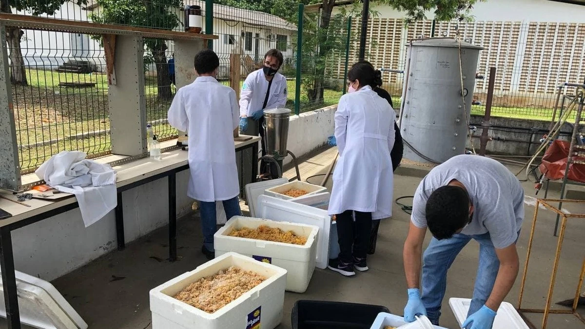 Projeto de R$ 1,4 milhão no CE transforma resíduos em biometano