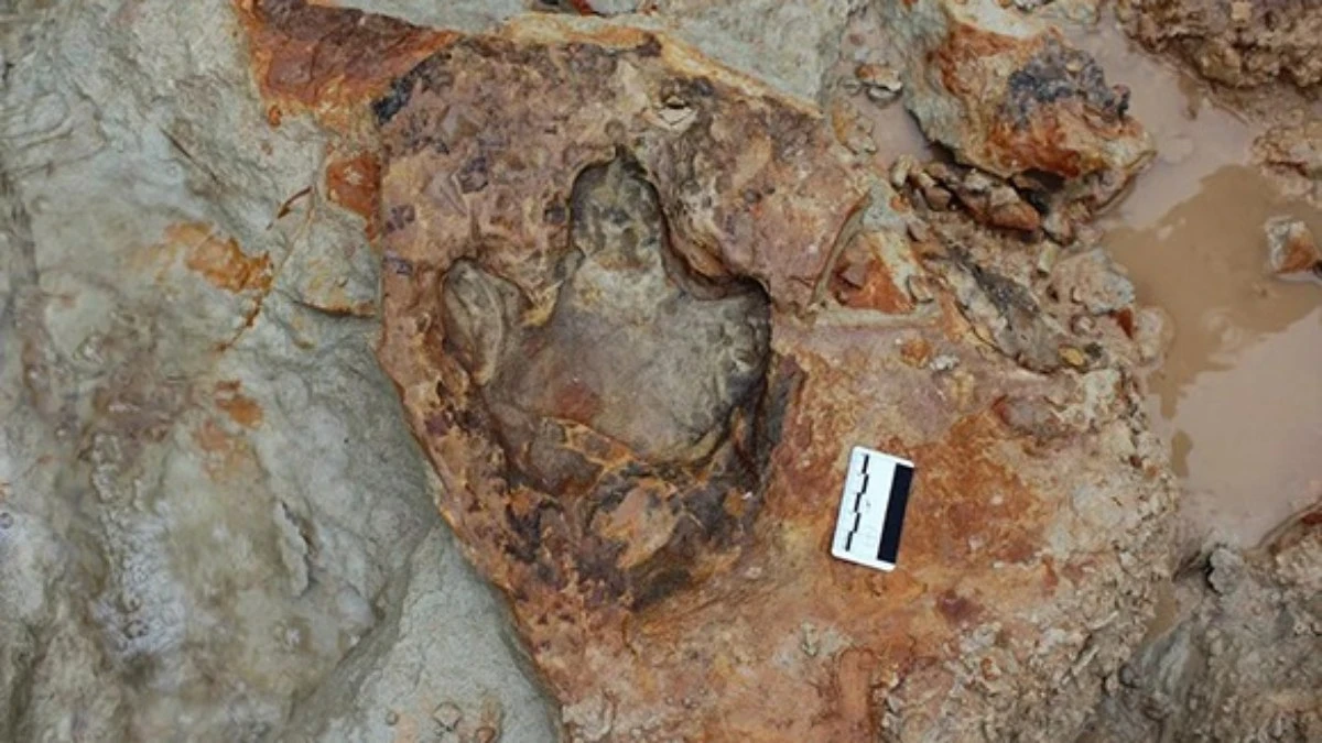 Pegada de dinossauro quase intacta é encontrada no sul do Brasil