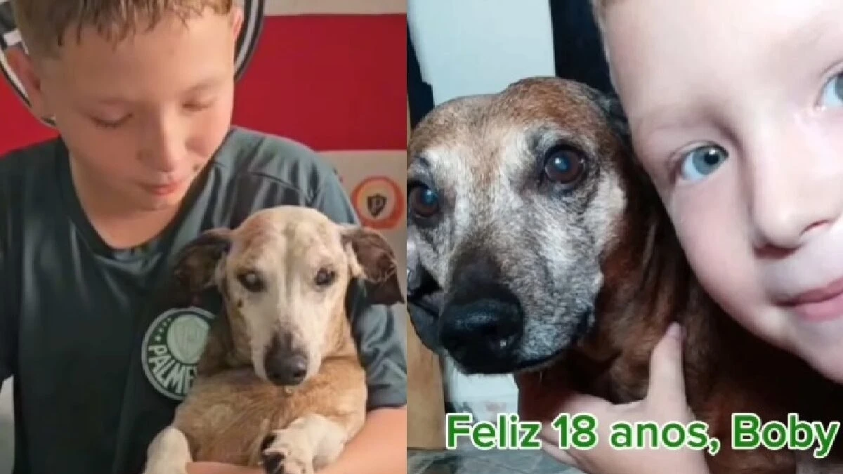 Garoto chora ao celebrar 18 anos de cão salsichinha