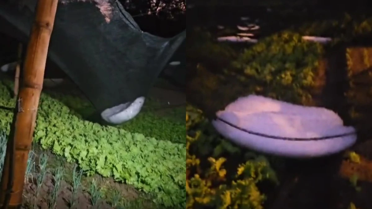Chuva de granizo atinge Urupês (SP) e impressiona moradores