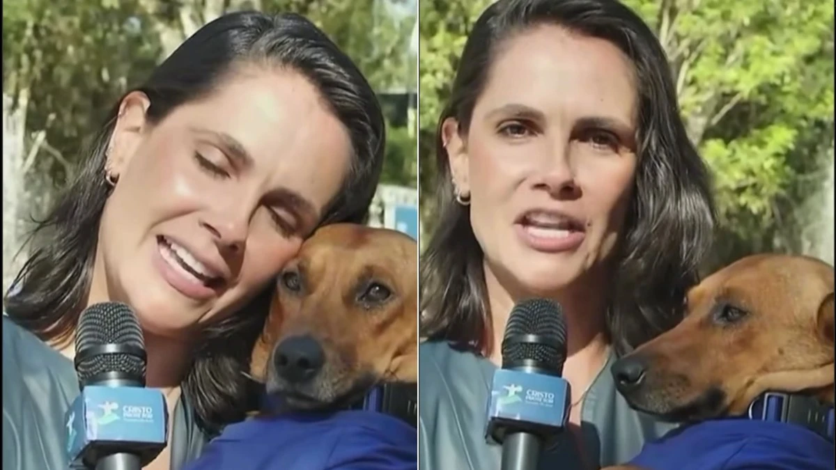 Repórter entrevista vira-lata caramelo e paz do cão rouba cena