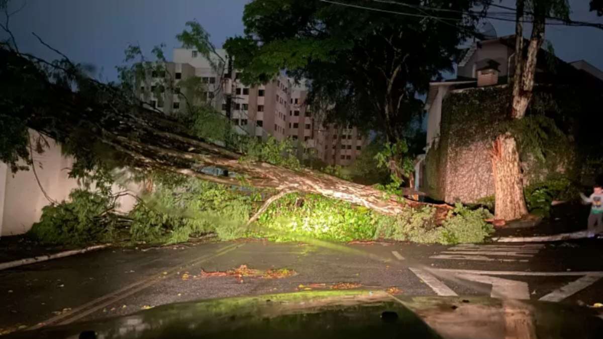 Ventania em SP: Moradores registram tempestade nas redes sociais; veja os vídeos