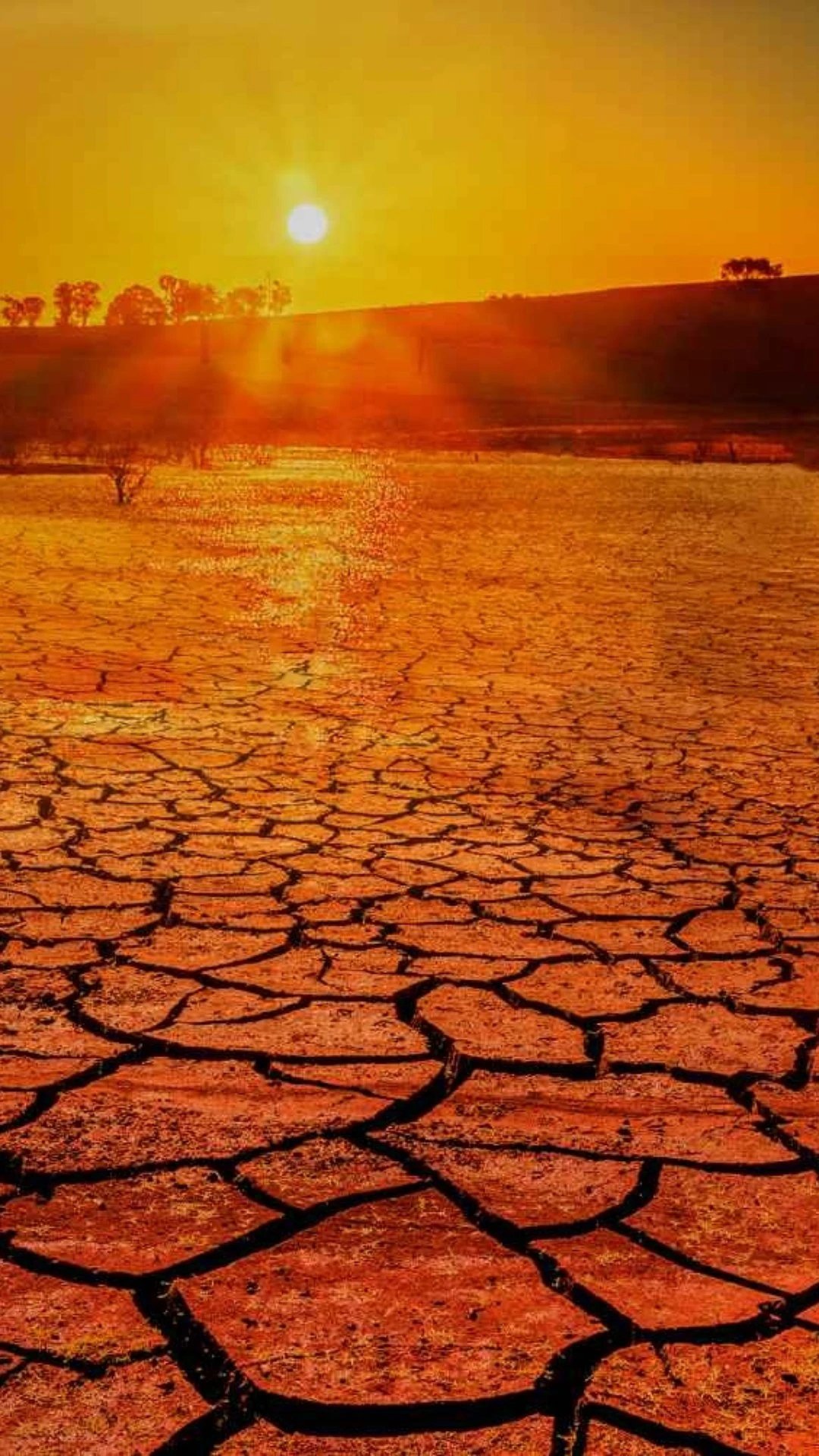 Planeta está ficando sem tempo para evitar impactos da crise ambiental