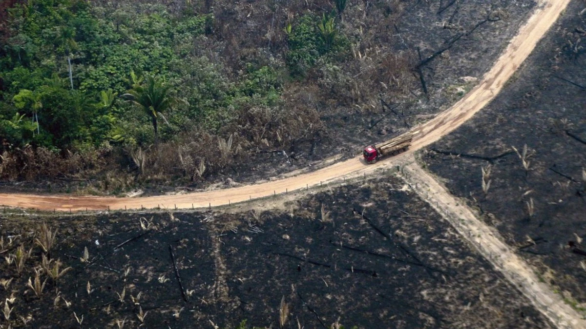 Amazônia pode entrar em colapso irreversível em 2050, diz estudo