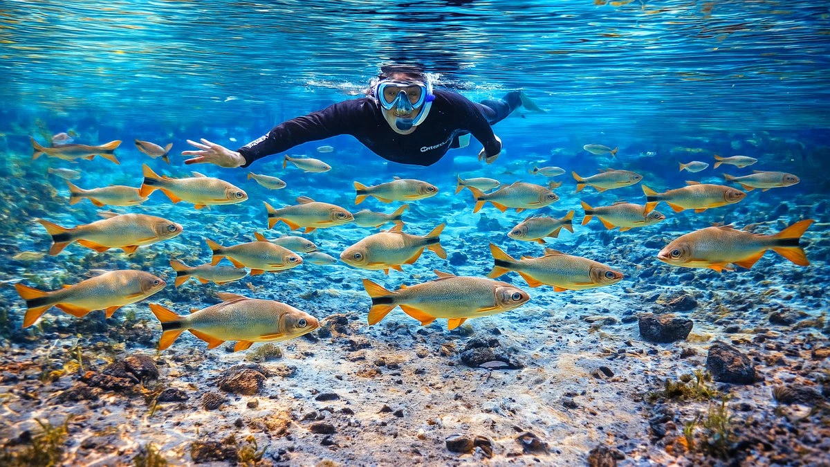 Viajar sozinho? conheça cinco destinos brasileiros para começar