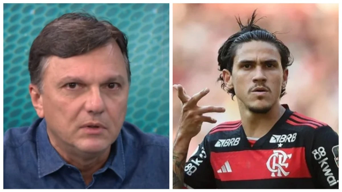 Mauro Cezar vê Flamengo 