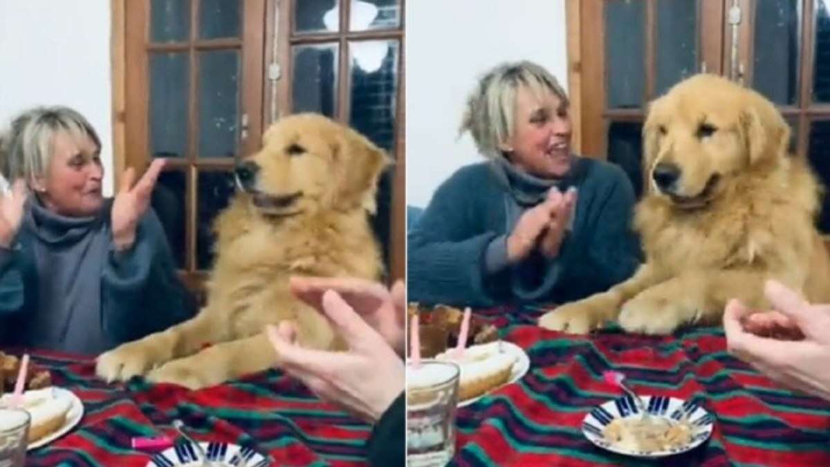 Cão canta 'Parabéns pra você' em aniversário e web reage: 'Amo você cachorrinho'