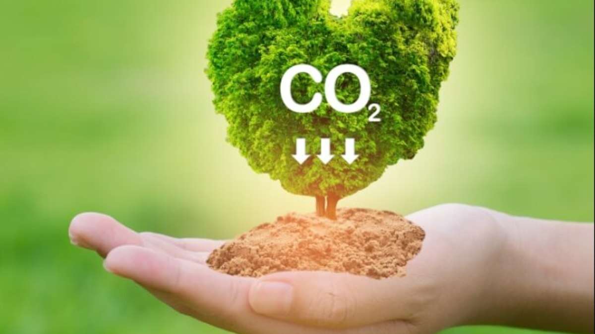 Indústria acelera a transição para a economia de baixo carbono