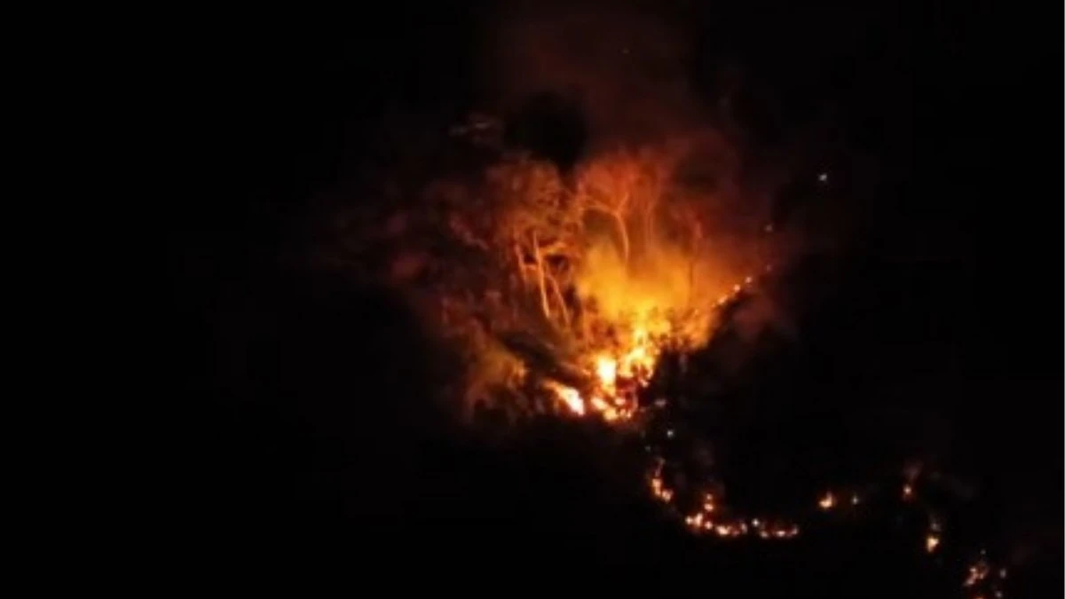 VÍDEO: incêndio há 48 horas em Caraguatatuba mobiliza helicóptero