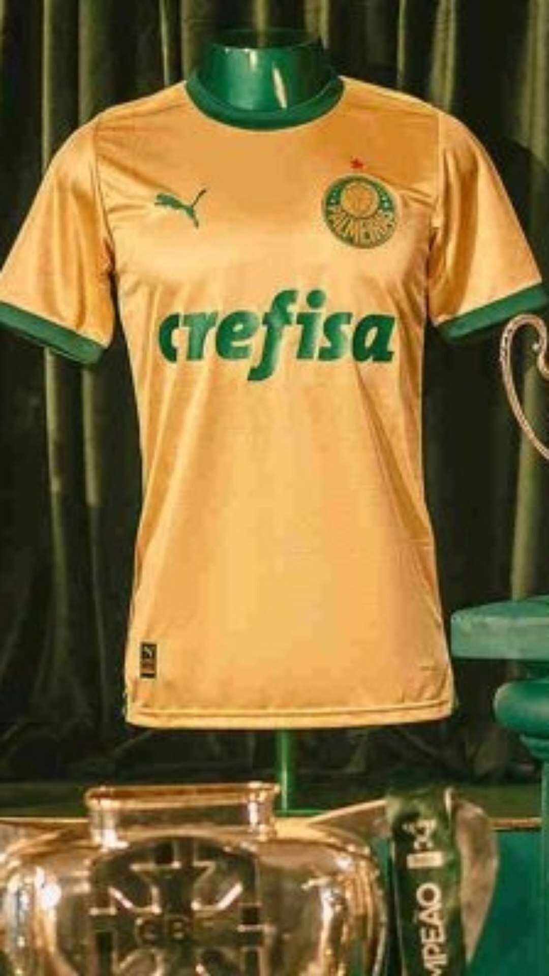 Palmeiras avança para ter sua camisa avaliada em R$150 milhões em 2025