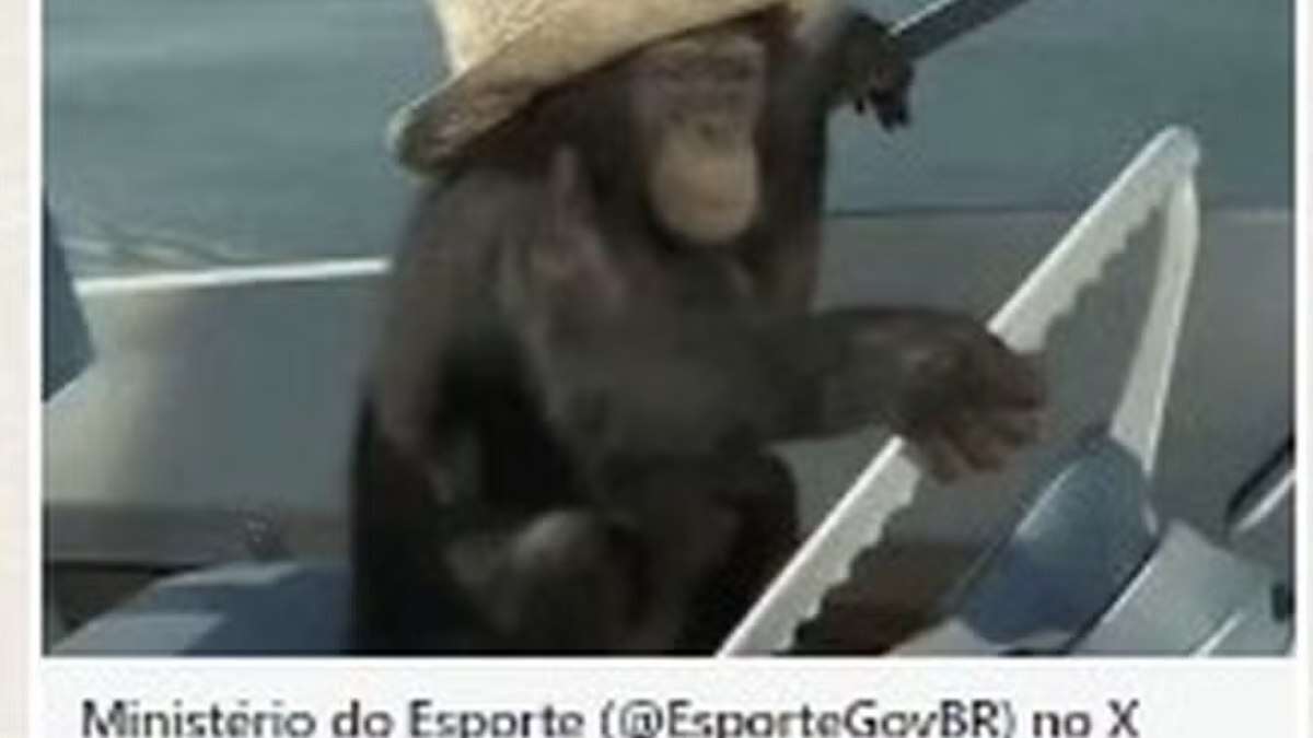 Olimpíadas: governo publica e apaga imagem de macaco criticada nas redes antes da abertura