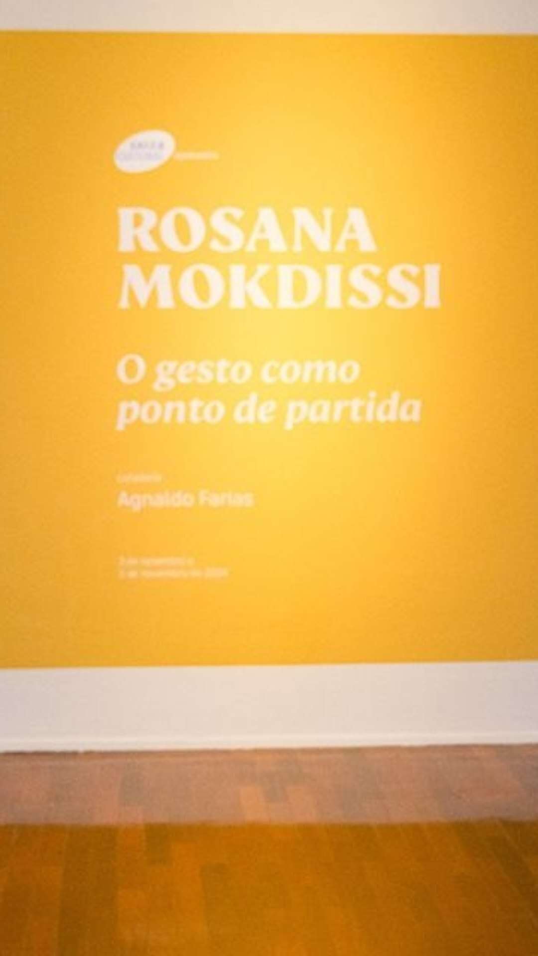 Agnaldo Farias realiza duas visitas mediadas à exposição de Rosana Mokdissi