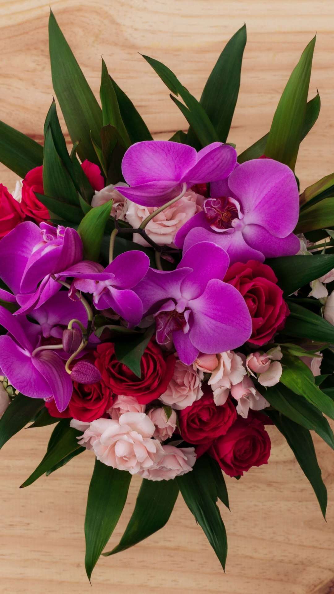 Como cuidar de orquídeas: 4 dicas simples para flores sempre bonitas