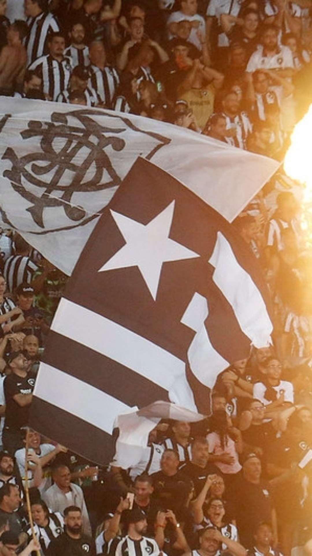 Botafogo x Palmeiras: saiba como adquirir ingressos para jogo do Brasileiro