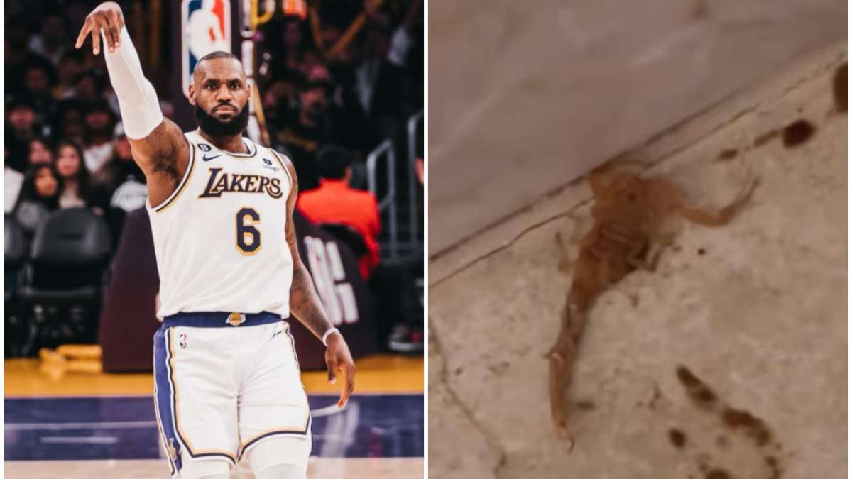 LeBron James se depara com escorpião mais perigoso dos EUA e quase leva a pior; assista