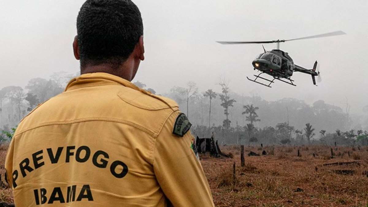 Amazônia: saiba como contribuir para reduzir os incêndios florestais