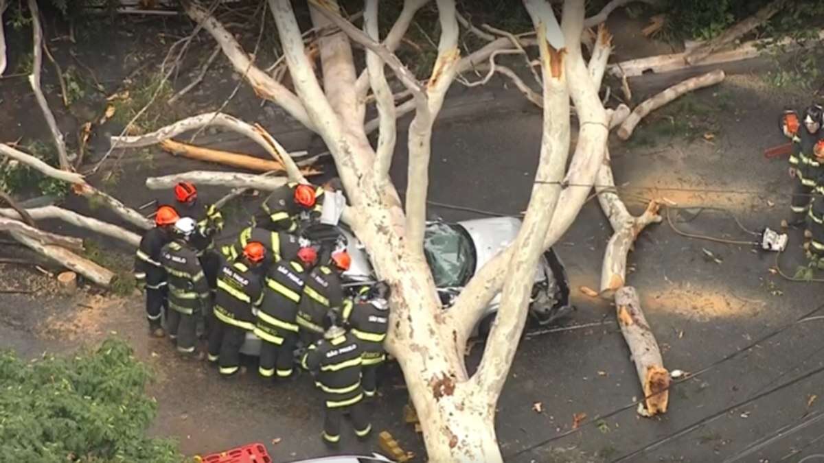 SP deve ter ventos de até 100 km/h nos próximos dias, diz Defesa Civil