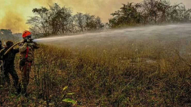 Inpe: nos primeiros dias de outubro Pantanal queimou 408% a mais do que em 2019