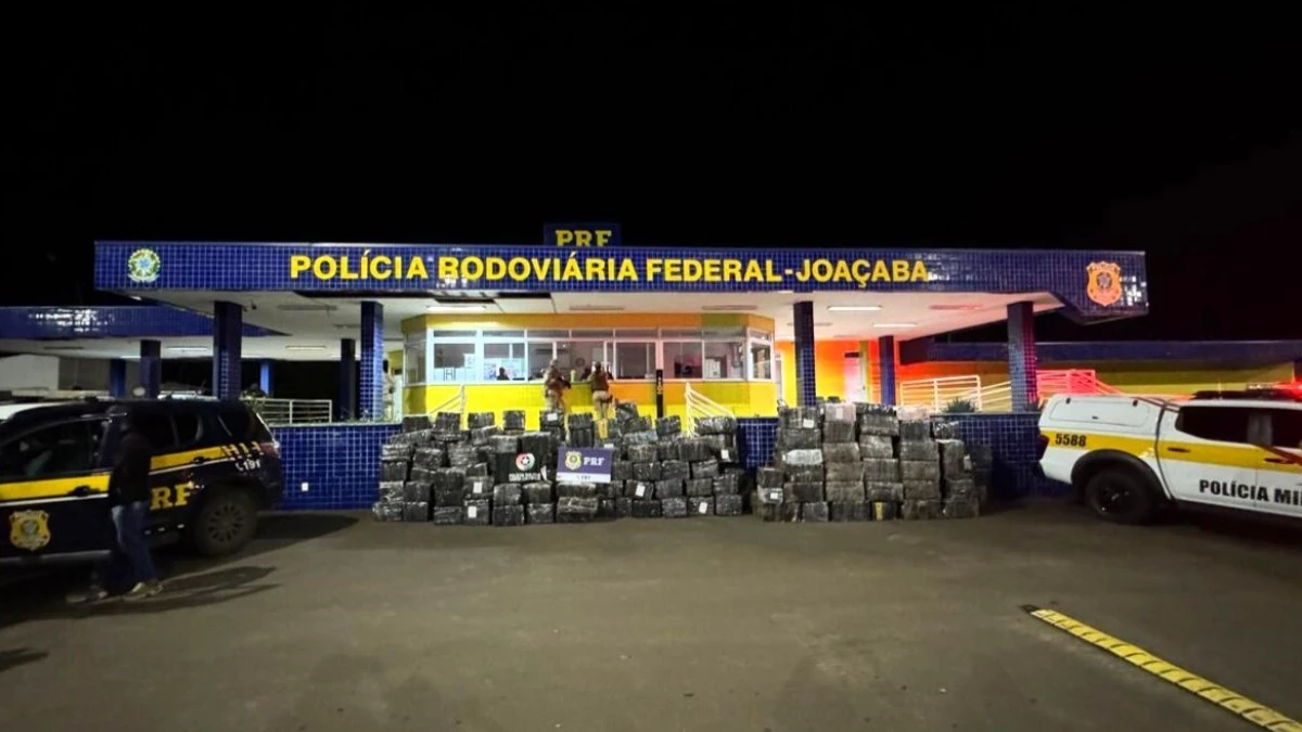 PRF e PM fazem maior apreensão de maconha do ano em SC