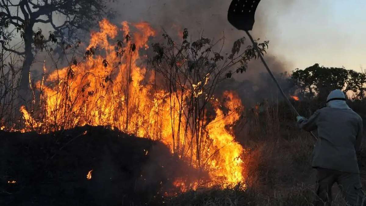 Queimadas: Governo editará MPs para liberar R$ 514 mi e agilizar repasse do Fundo Amazônia