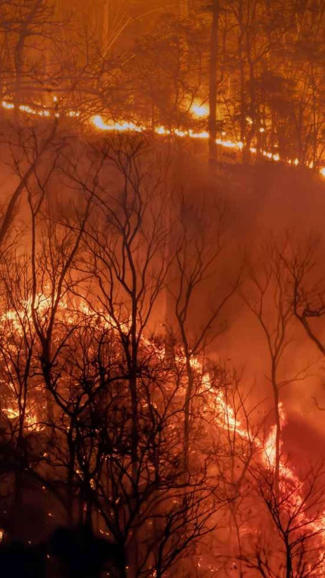 Mundo caminha para um aquecimento de 2,7°C neste século