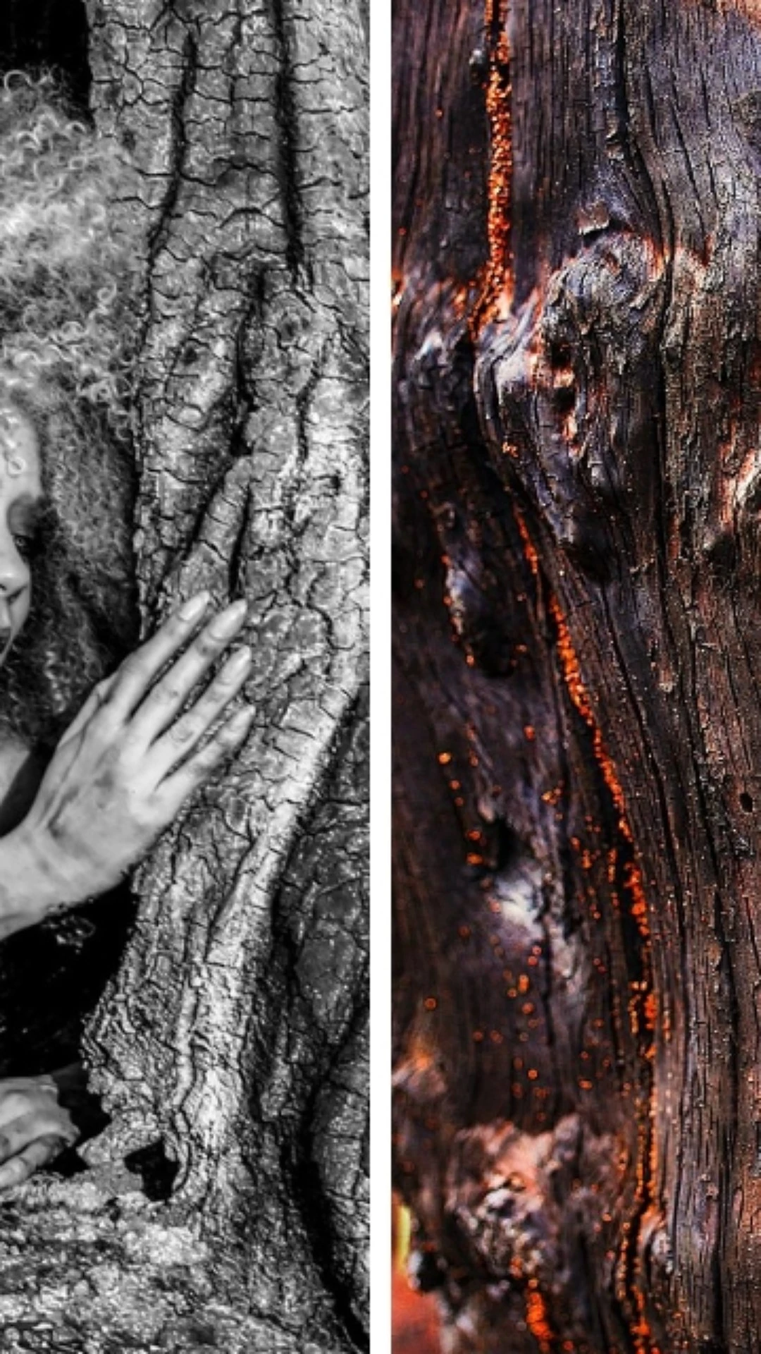 Vernissage: Renata Ferraz leva o Cerrado a Paris