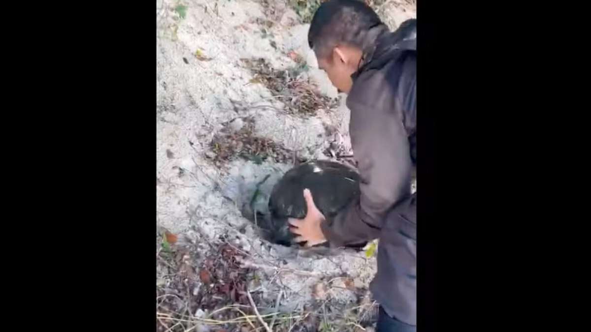 Vídeo: PM desenterra mais de 4 mil pedras de crack da areia