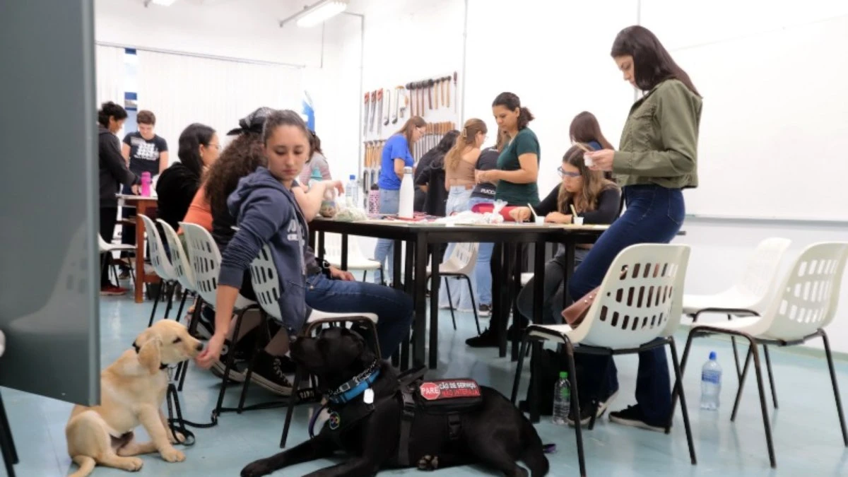 Companheiro de quatro patas ajuda jovem com autismo a estudar