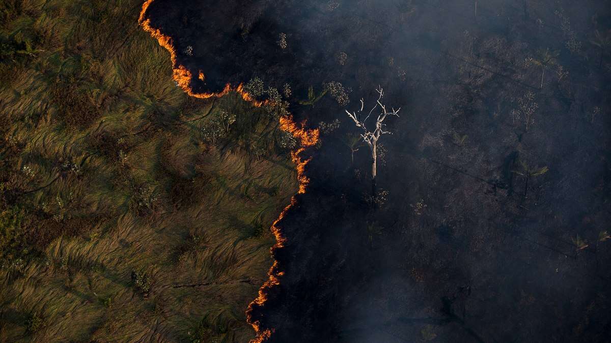 Crise de fumaça: incêndios na Amazônia alcançam níveis recordes e afetam todo o Brasil