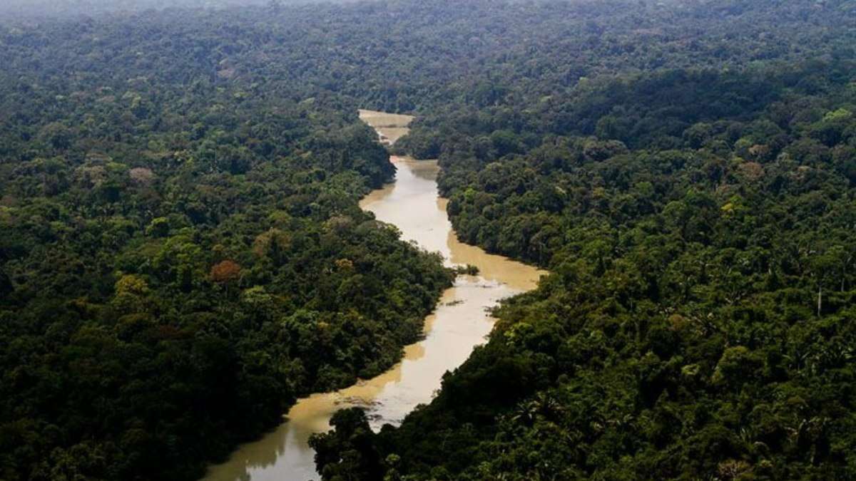 Suíça doará R$ 30 milhões ao Fundo Amazônia após assinar acordo