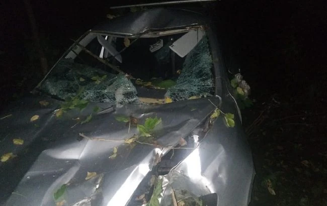 НП під Вінницею: дерево вбило водія та травмувало пасажира (фото)