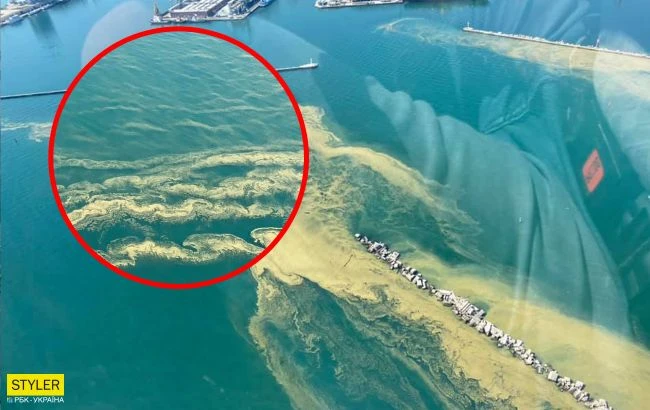Чорне море знову позеленіло: купатися не рекомендується