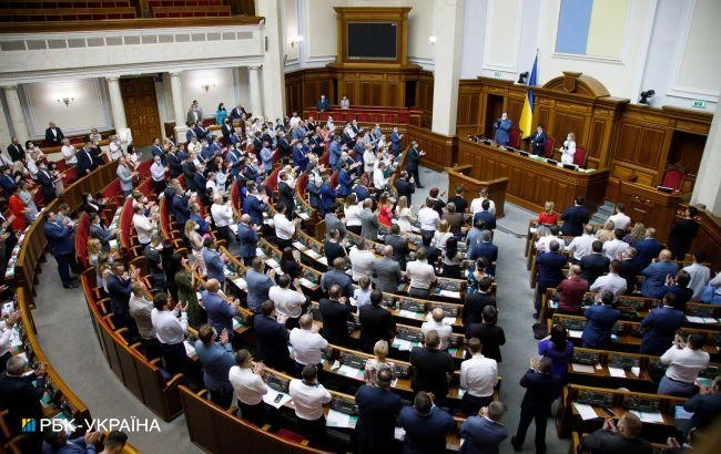 Закон про покарання силовиків за домашнє насильство на загальних підставах внесли в Раду
