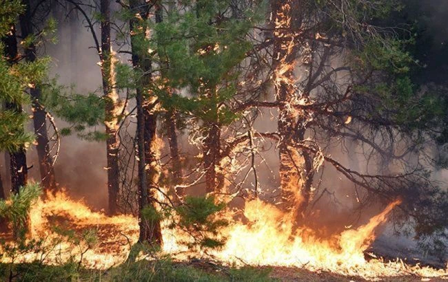 В Україні оголосили надзвичайний рівень пожежної небезпеки