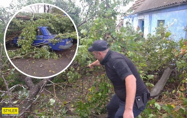 Під Херсоном пронісся ураган: дерева вирвані з корінням, зірвані дахи будинків
