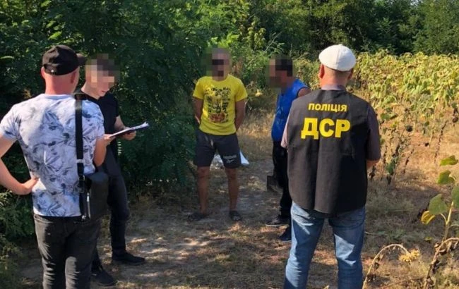 У Запорізькій області виявили посів конопель на 10 млн гривень: затримали двох ділків