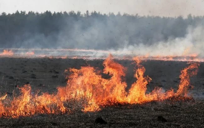 У Херсонській області за добу виникло 18 пожеж в екосистемах