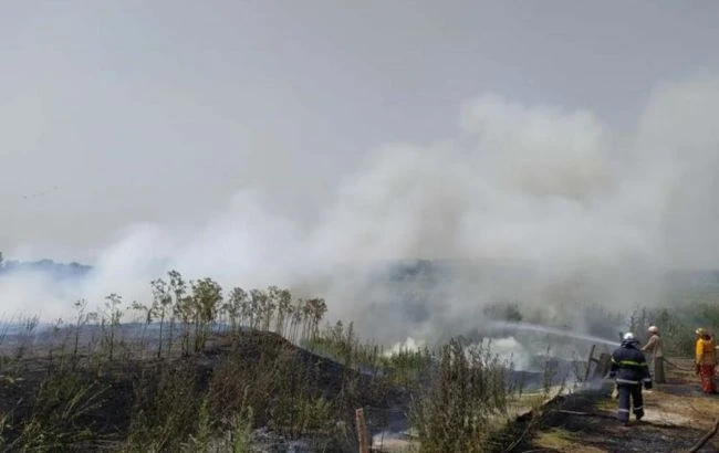 У Дніпропетровській області спалахнула пожежа в екосистемі