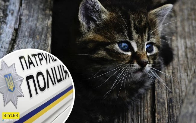 Під Житомиром мисливці жорстоко розправилися з домашнім котом: такі розваги