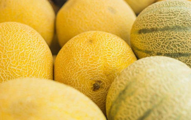 Як вибрати найсолодшу і найсоковитішу диню: продавець поділився секретом