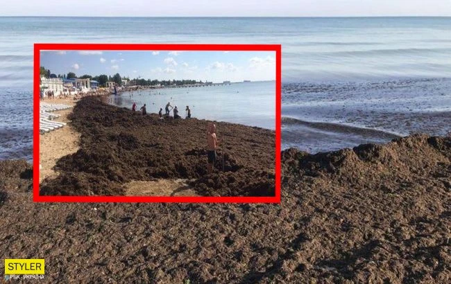 Морське узбережжя Криму перетворюють на смердюче болото: запах моторошний