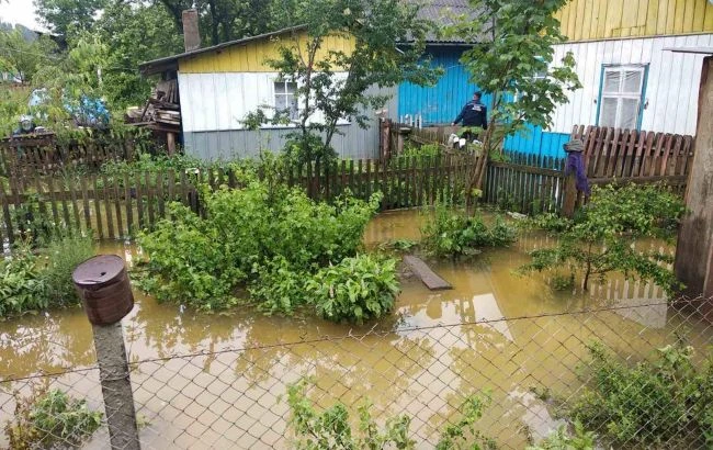 Експерт назвала причину потопу на Прикарпатті: не тільки вирубка лісів