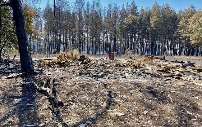 Оголошена надзвичайна ситуація: нові фото страшних пожеж під Харковом