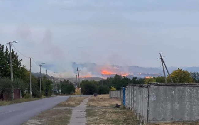 У Краматорську сталася масштабна лісова пожежа