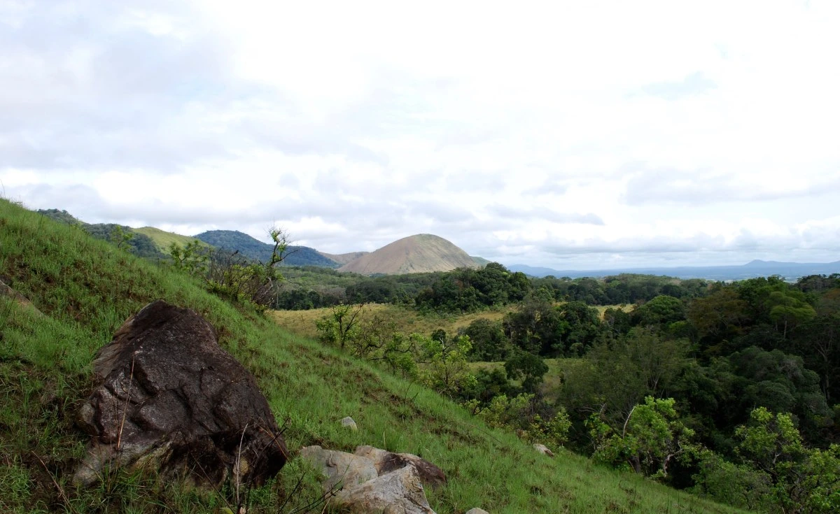 Gabon Saves Trees & Captures Carbon in 2nd Largest Rainforest