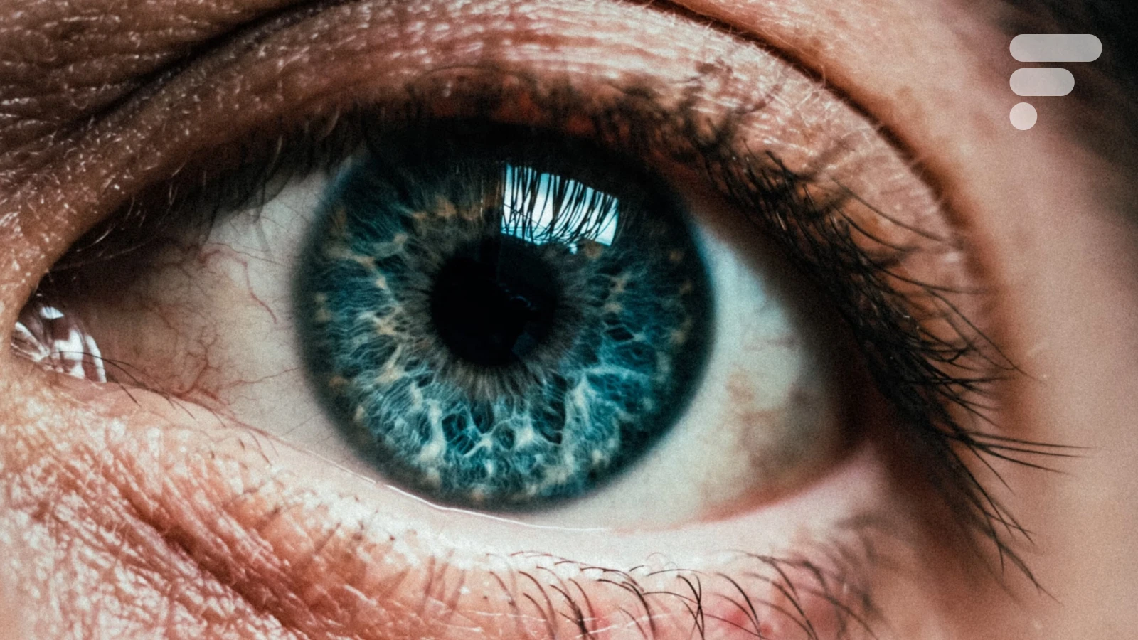 25 000 pixels par pouce : ce « papier électronique rétinien » atteint la limite physique de l’œil humain pour l’écran des futurs casques et lunettes