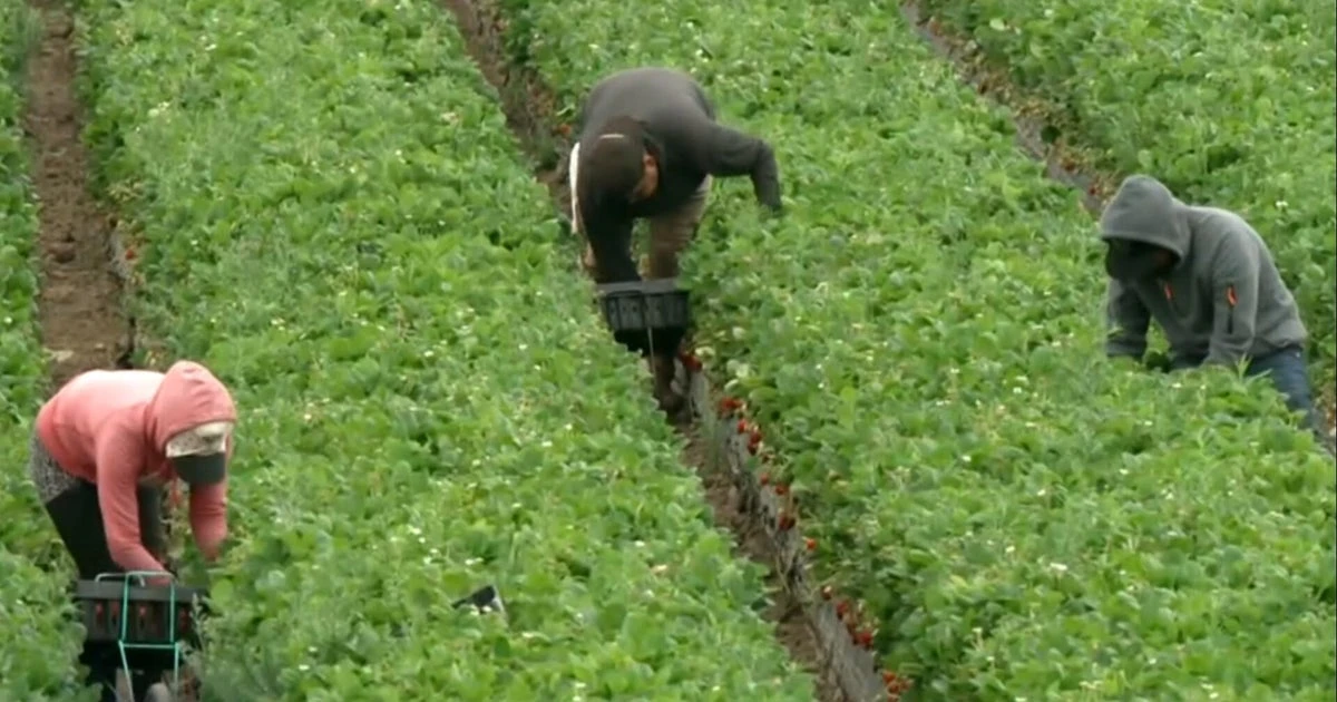 Migrant farm workers express fears of ICE raids